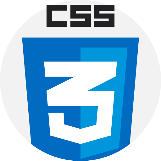 Foto del logo CSS